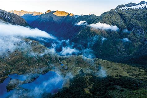 big puku|The lost tribe of Fiordland .